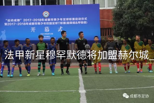法甲新星穆罕默德将加盟赫尔城 转会费高达1300万镑